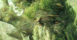Ents Lord Of The Rings