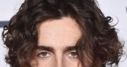 Timothee Chalamet Ai L
