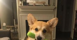 Gah What Is That Thing
