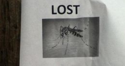 Arrrghh! You Found The