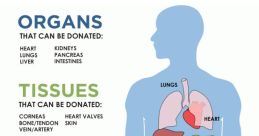 Donor