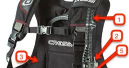 Bcd