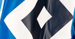 Hsv