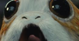 Porg