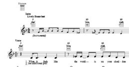 Rhythm Of The Night