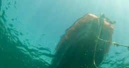 Dive