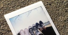 Polaroid