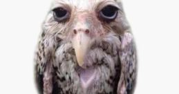 Ahhh