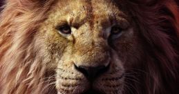 Lionking