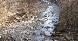 Right Foot Creek