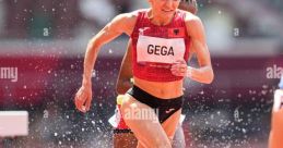 Gegag
