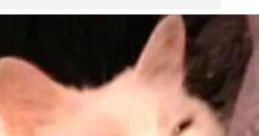 Hehehehe
