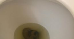 Poopy