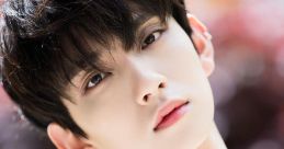 Joshua