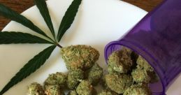 2 Maconha