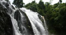 Trinidad