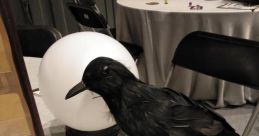 Cuervos There is something haunting and mysterious about the of Cuervos. The cawing of these intelligent, black birds