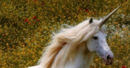 Unicorns