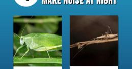 Loud Buzz One of the first to explore when it comes to the subject of loud buzz is the classic "LIE BUZZER." While not