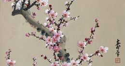 Xue Hua