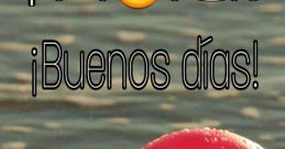 Holaa The of "Hola" echoes through the busy city streets, bouncing off the walls of buildings and floating through the