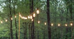 Outdoor As the sun begins to set and the cool evening air settles in, a chorus of spring peepers emerges from the nearby