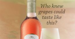 Blossom Hill Advert