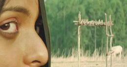 Machan