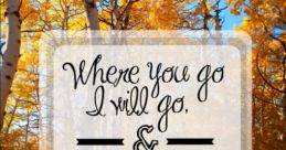 Where You Go
