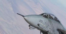 Dcs