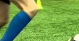 FC Zenit Football Club Songs