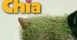 Chia Pet showcasing a whimsical animal design, covered in vibrant green chia sprouts, promoting fun gardening.