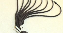 Whip