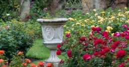 The Garden