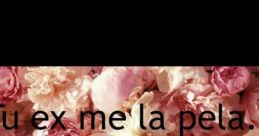 Me La Pela