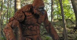 Sasquatch