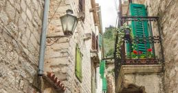 Kotor
