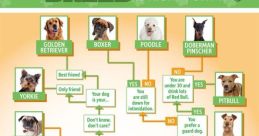 What The Dog