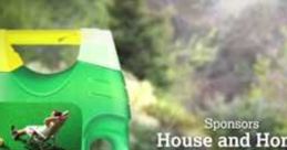 Evergreen Advert