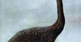 Moa