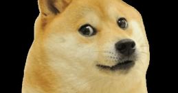 Doge