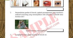 Fikirlah