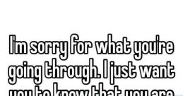 Sorry For What