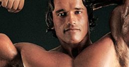 Arnold Schwarzenegger 13xx