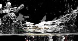 Splash