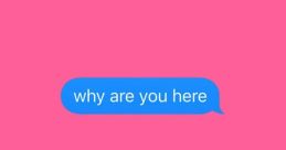 Why Are You Here?