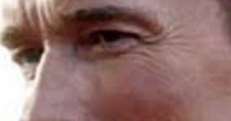 Arnold Schwarzenegger Election Free Arnold Schwarzenegger Download