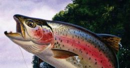 Trout The of "Alla troutrou" is a playful and whimsical tune that brings to mind the carefree nature of trout swimming in a