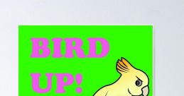 Bird Up