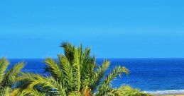 Canaria